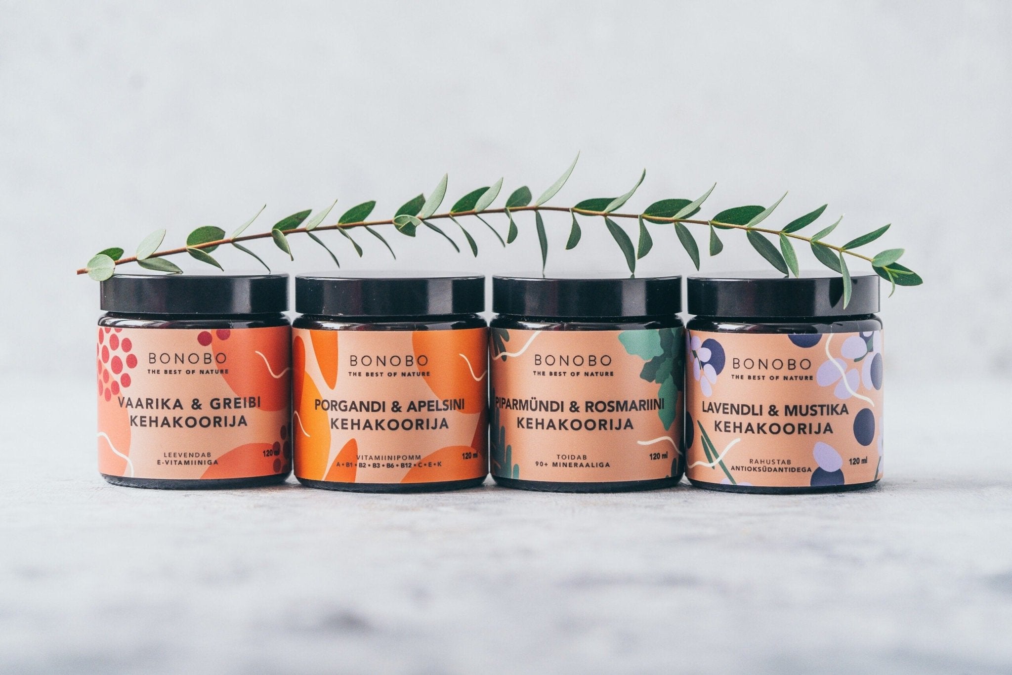 Body Scrub — Blueberry and Lavender - Jolz Eco