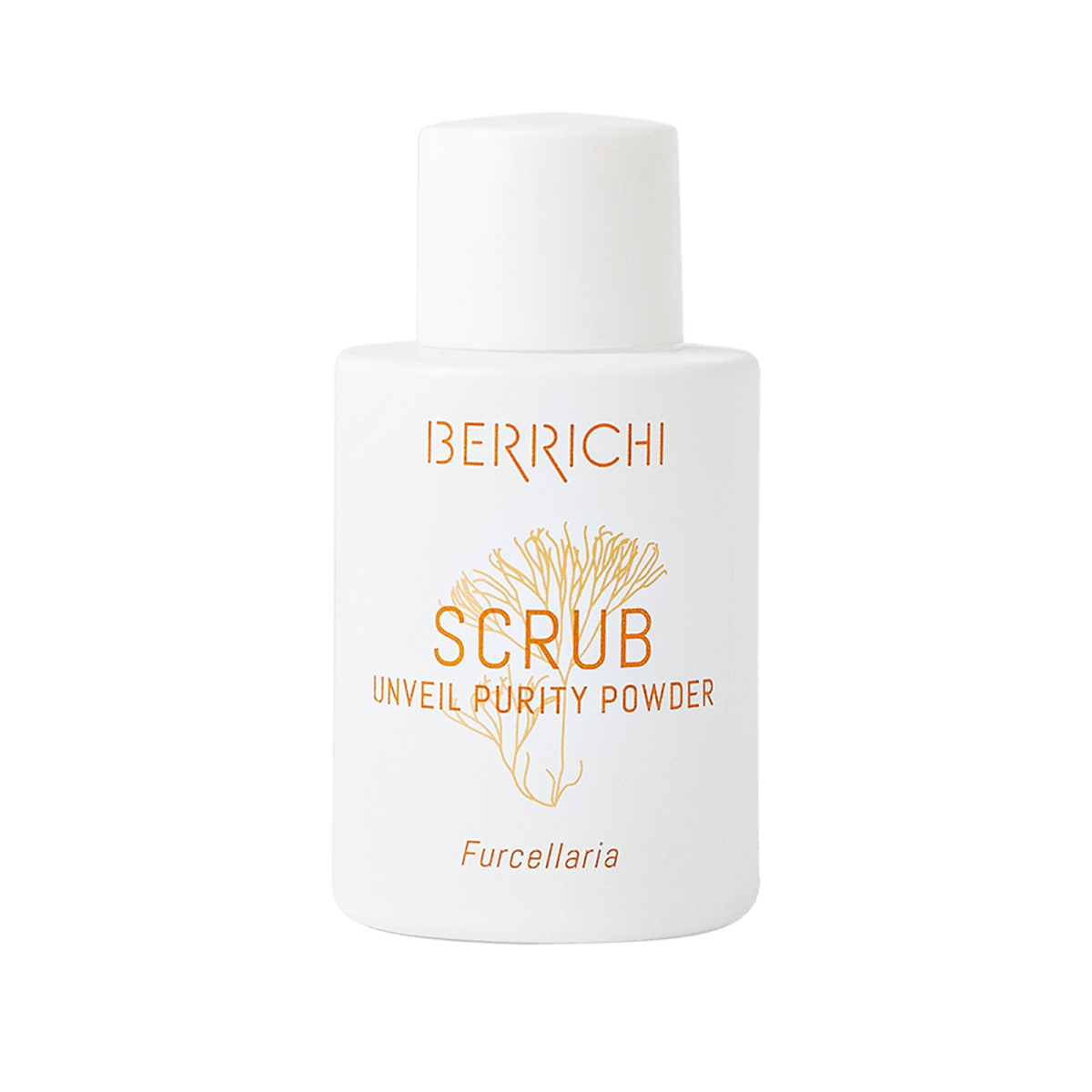 Reveal Purity Powder SCRUB, 12g - Jolz Eco