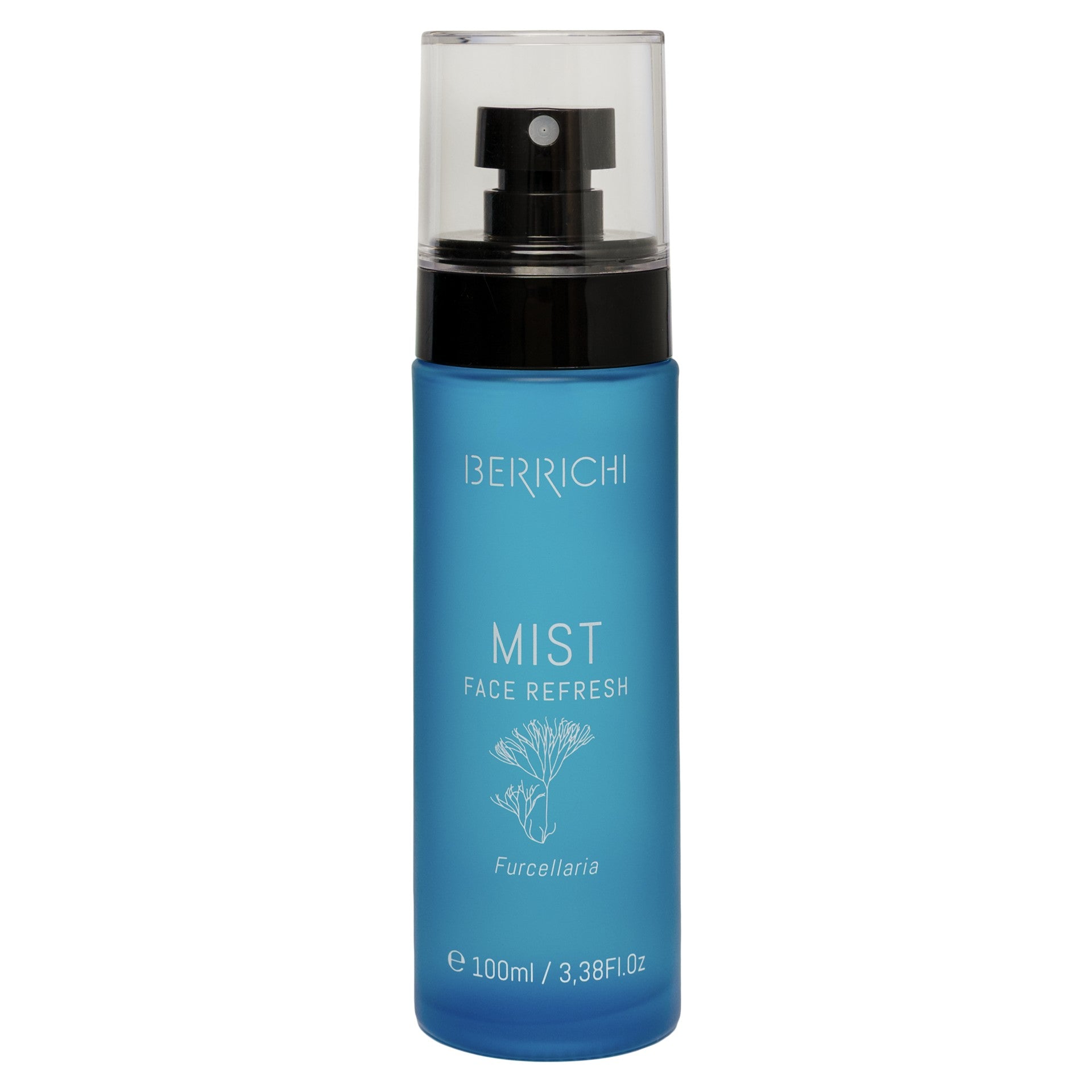MIST Face Spray, 100 ml - Jolz Eco